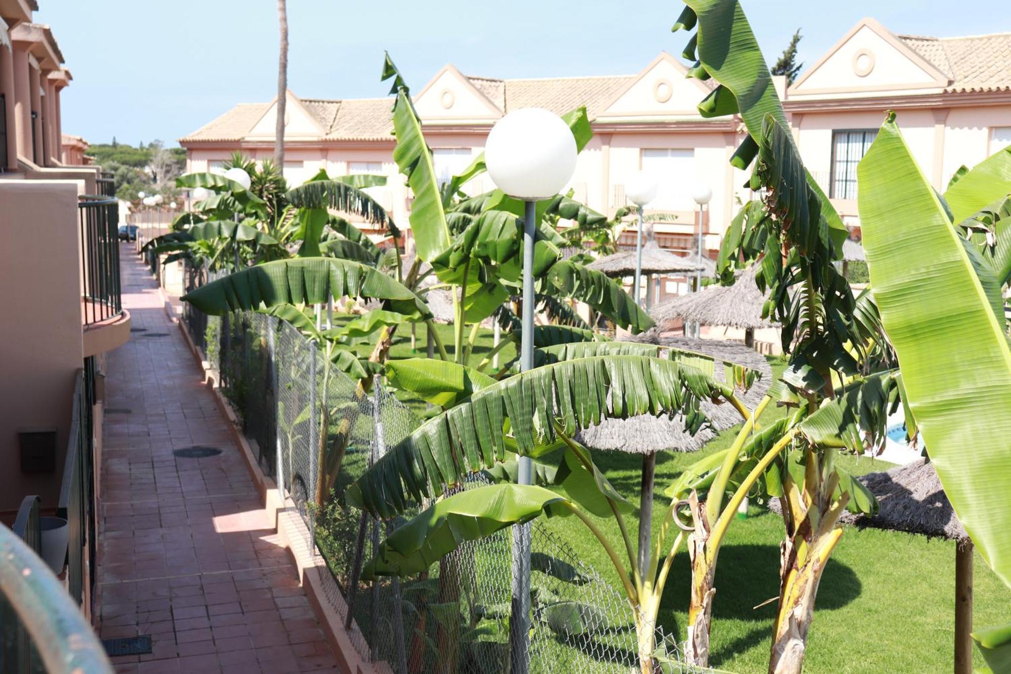 Playa La Barrosa, Alojamientoslola Chiclana de la Frontera Exterior photo